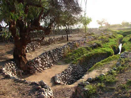 nazca acueducto de cantalloc